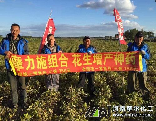 水溶肥效果見證 水溶肥效果見證