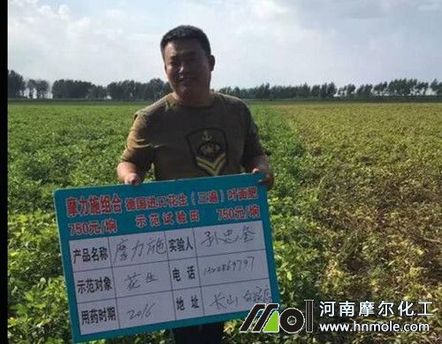 水溶肥效果見證 水溶肥效果見證