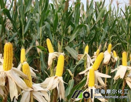 ���׮��a(ch��n)��