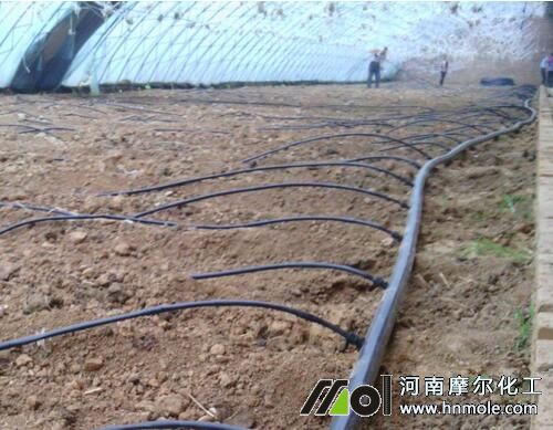 5公斤水溶肥兌水量 5公斤水溶肥兌水量