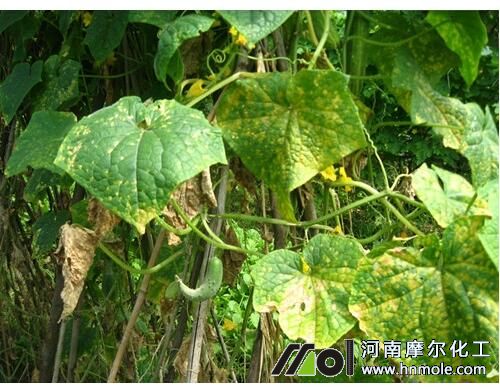 �S��ʩ���^��F��