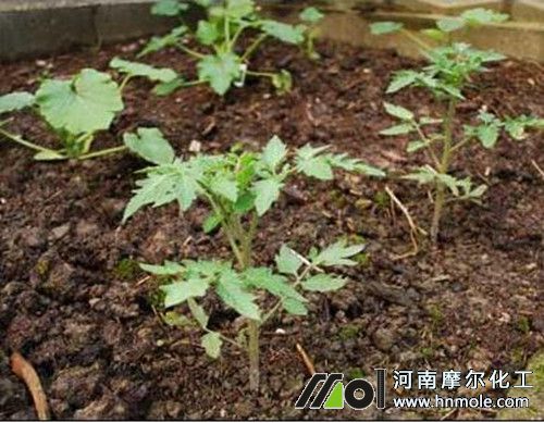 ��������ʩ��