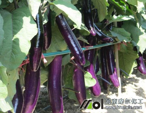 �߲�ˮ�ܷ�ʹ�÷���