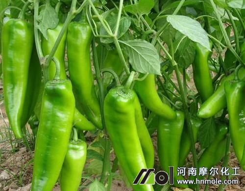 �N�������Y����Сԭ��