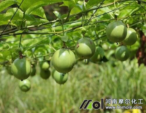 ��������ʩ��