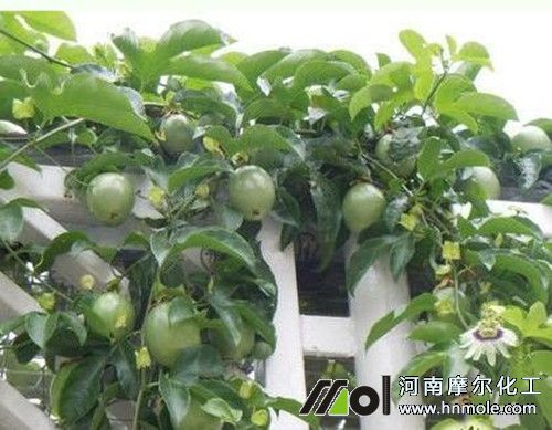 �������������ʩ��