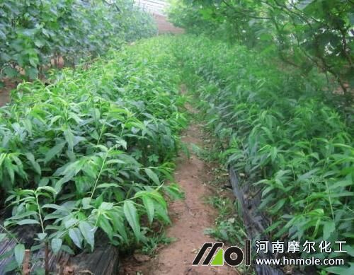 �Ҙ��~�Ӱl�SÓ��ԭ��