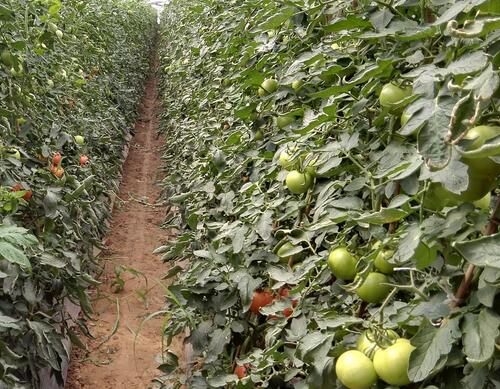 ���t��ˮ�ܷ��䷽��ô�x