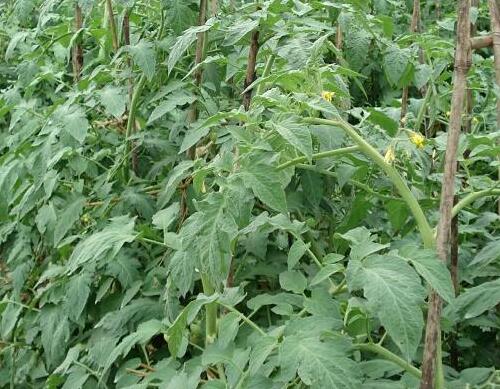 ���t��ˮ�ܷ��䷽��ô�x