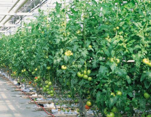 ���t��ˮ�ܷ��䷽��ô�x