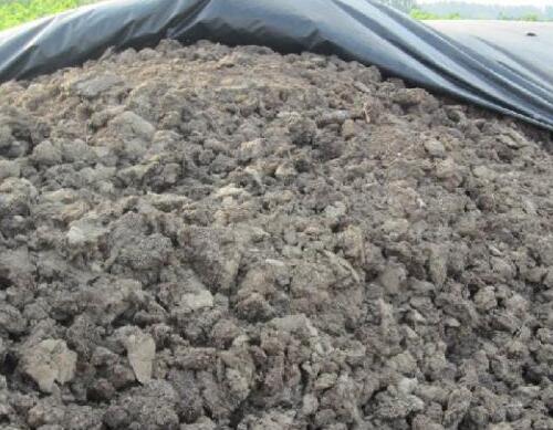 大棚茄子追施底肥 大棚茄子追施底肥