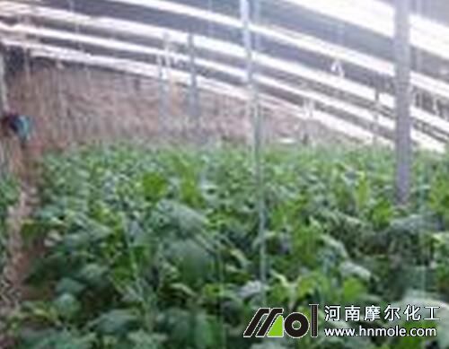 ������ʲôˮ�ܷ�ɫ�ɺ�