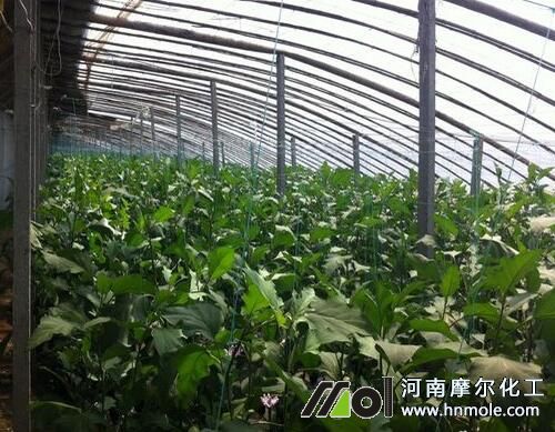 ����ˮ�ܷ�ʹ�Õr�g