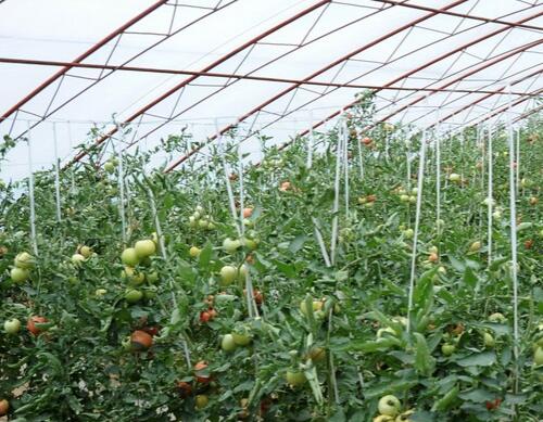 �����߲�ˮ�ܷ��ķN��