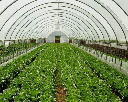 ˮ�ܷʃ�(y��u)��(sh��)