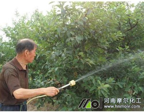 �������~��ʌ�(du��)ֲ���ϵ�����