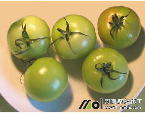 �����t�����t��