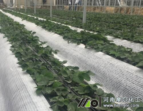 ��ݮʩ����ˮ�ܷ�