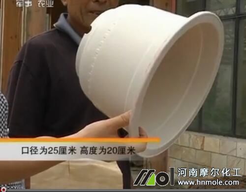 ���Բ�ݮ����Ҏ(gu��)��