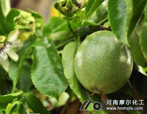 �����ʩʲô��