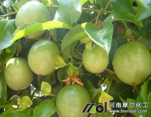 �������ʲô��