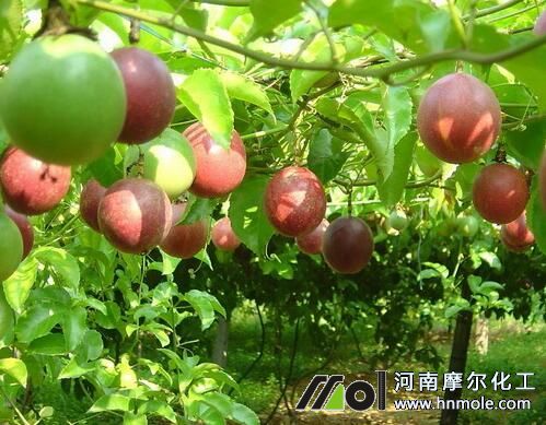 ������~���ʹ�÷���