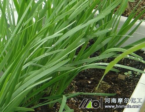 �²���Ҫʩ�~���