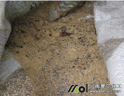 �����Ǥ���������|