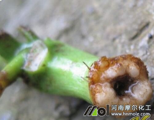 �����Ǥ�������^��