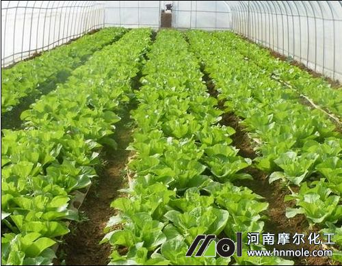 �ú��߲�ˮ�ܷʵķ���