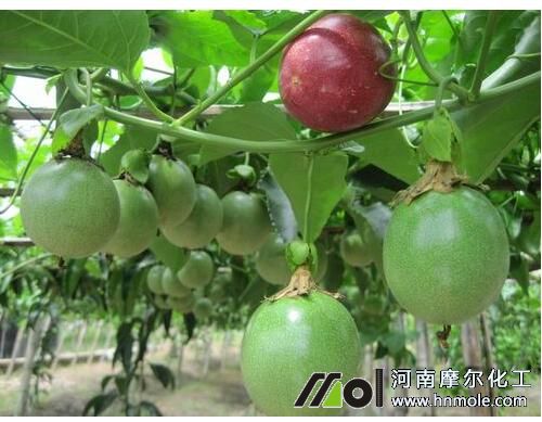 ��������ʩ��