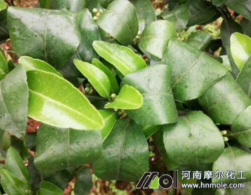 ����ȱ��Ԫ�ر��F���C��