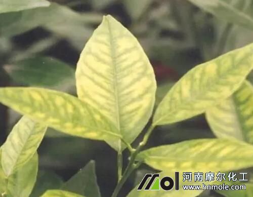 ����ȱ�iԪ�ذY��