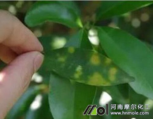 ����ȱ�fԪ�ر��F���C��