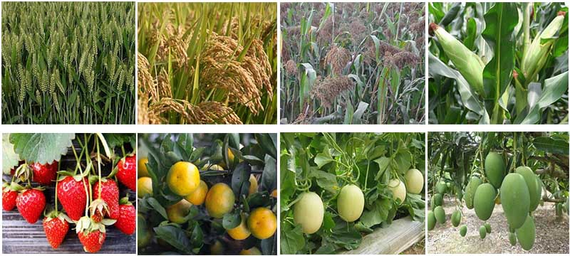 �{�׾G���m������