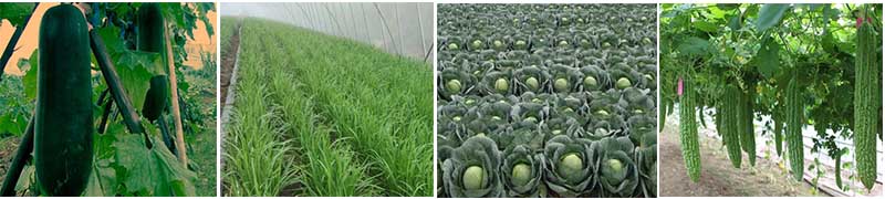 �{�׾G���m������