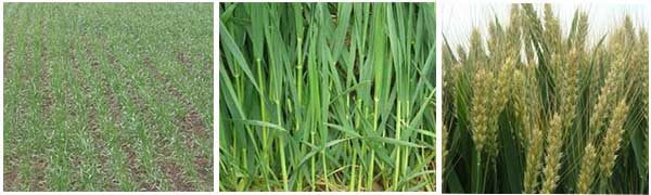 С��ʩ�ʕr��