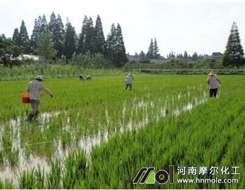 ˮ�ܷ�����(y��u)�c��ʹ�ü���