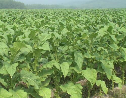 ����ˮ�ܷ��x��˜�