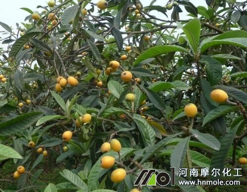 ����������c