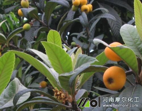 ���˘�ʩ�ʼ��g