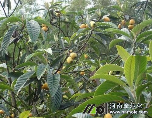 �~����÷�����