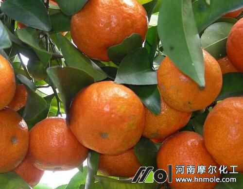 ����ˮ�ܷ��x��