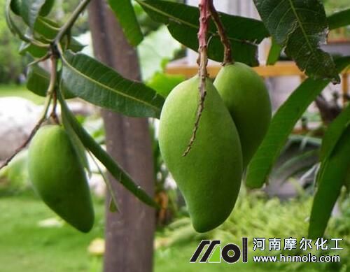 â���Nֲˮ�ܷ��x��