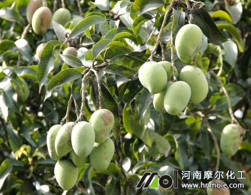 â��ˮ�ܷ��÷�