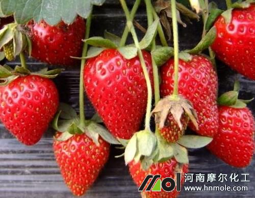 ��ݮ�Nֲˮ�ܷ��x��