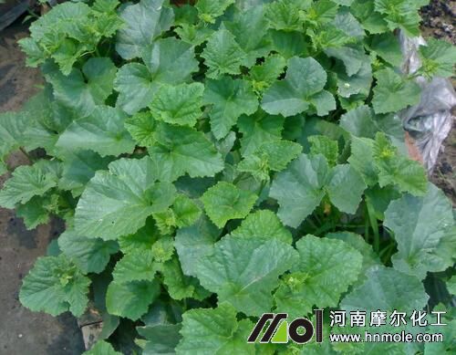 ���ˮ�ܷ��x��