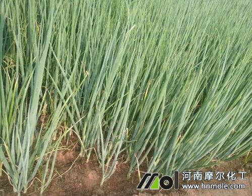 ���[ˮ�ܷ��x��