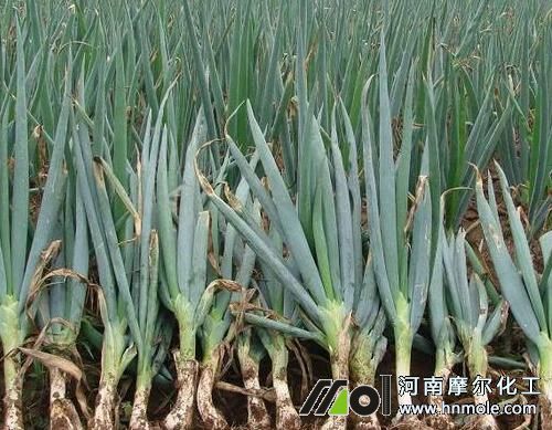 ���[ˮ�ܷ��x��