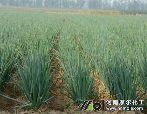 ���[ˮ�ܷ��x��